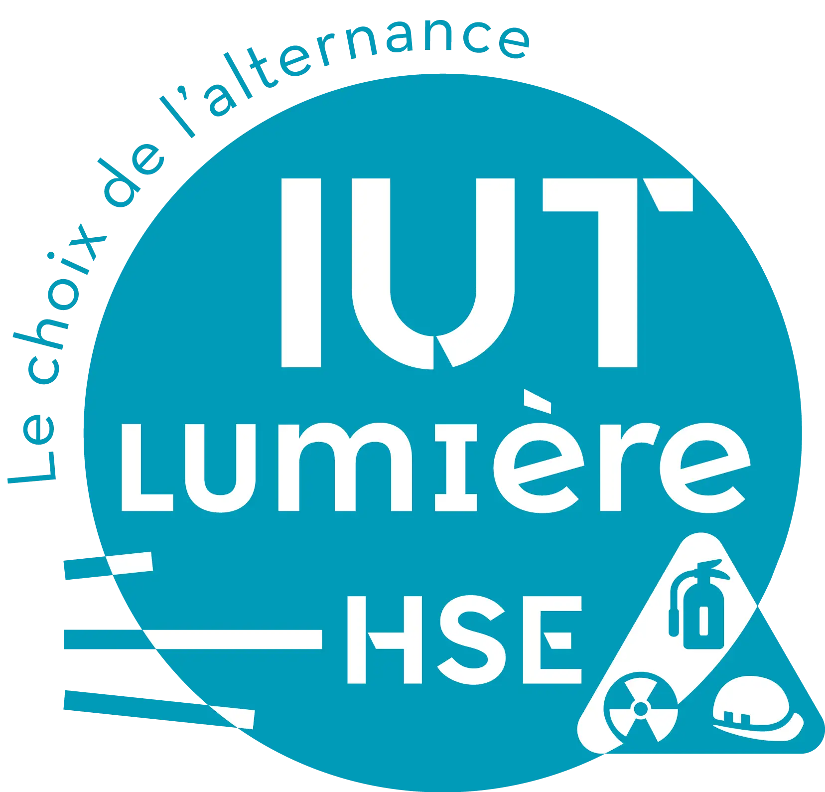 logo-IUT lyon-2-departement-securité-environnement